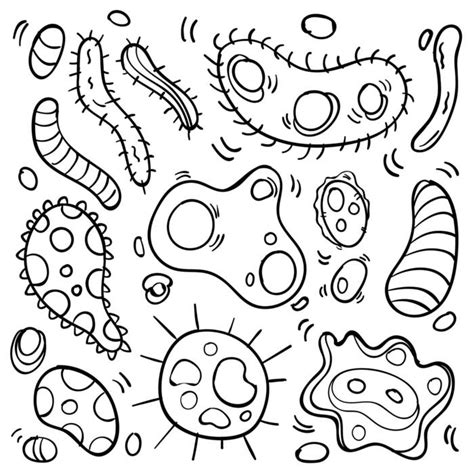 Biology Doodle Art 的图像结果