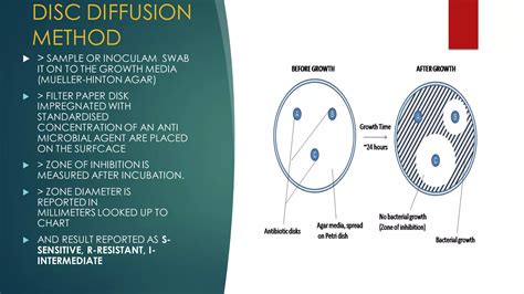 Microbiological culture sensitivity tests | PDF
