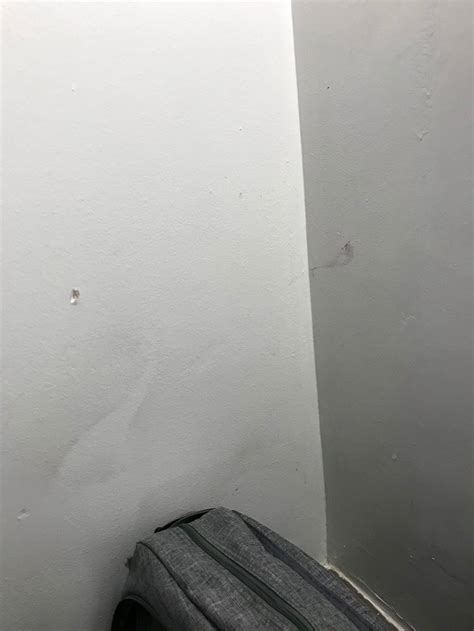 ECONO LODGE UNIVERSITY / DOWNTOWN (Tucson) - Motel Reviews & Photos ...