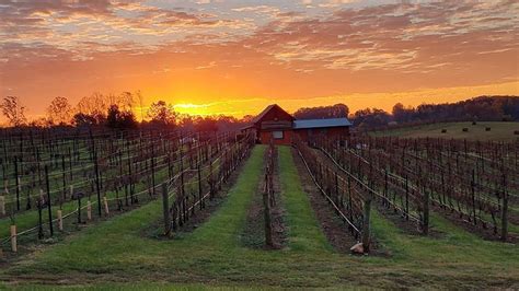 AUTUMN CREEK VINEYARDS (Mayodan) - Campground Reviews & Photos ...