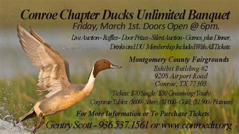 51st Annual Conroe Chapter Ducks Unlimited Banquet, MCFA Exhibit ...