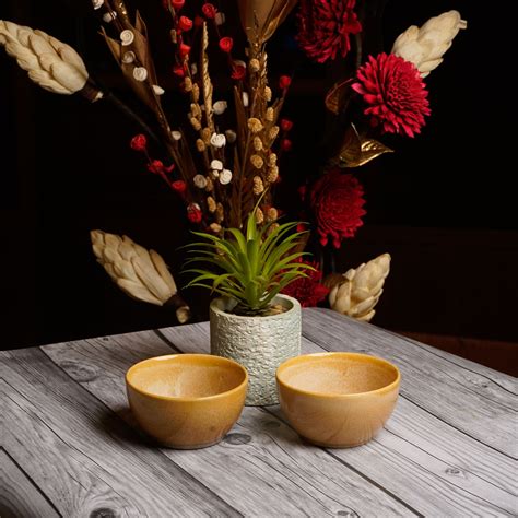 Caffeine Ceramic Handmade Cream Glossy katori bowl (Set of 2 ...