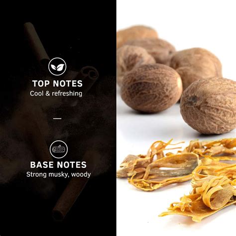 Buy BLACK DEODORANT BODY SPRAY, 150 ML- SET OF 3 Online & Get Upto 60% ...