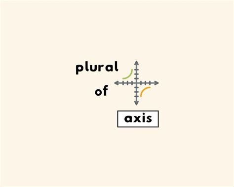 How to Use Axis Plural (Definition, Examples & Worksheet) | Grammarflex