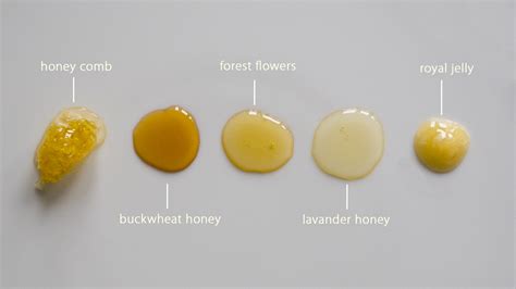 Honey – The Food Wire
