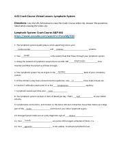 Image result for Crash Course Lymph System