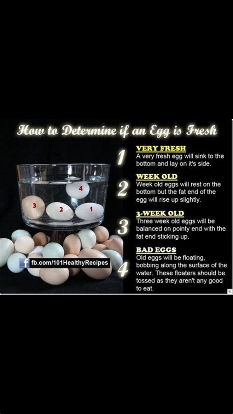 Image result for How to Build a Generator Enclosure