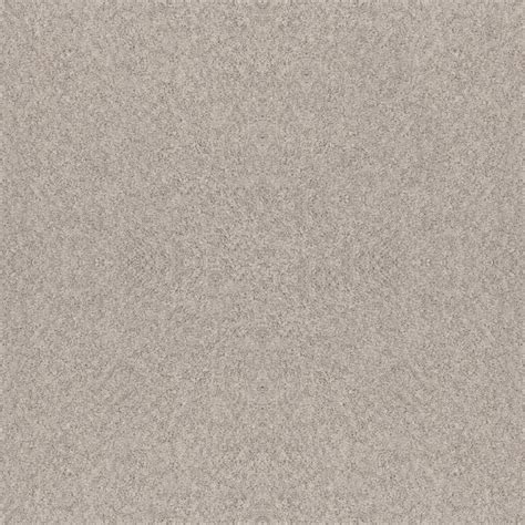 STAINMASTER PetProtect (Sample) Carefree Mood Baltic Stone Gray 43.9-oz ...