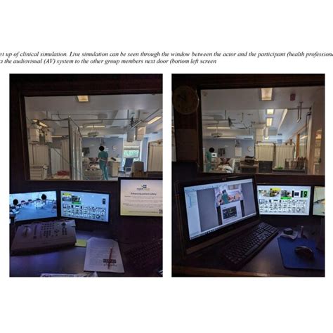 Live Simulation 的图像结果