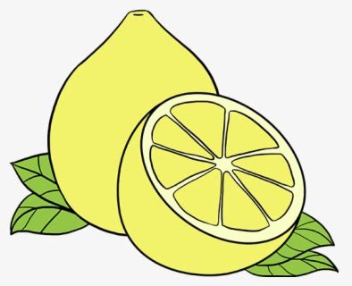 Image result for Simple Inside Lemon Drawing