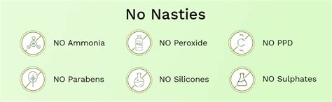 SESA 4 Step Natural Hair Colour Kit - For HIGH GREY% - 100% Organic ...