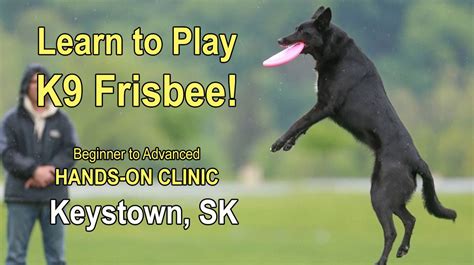 Keystown, SK | Dog Frisbee Clinic, 19 Second Ave, Keystown ...