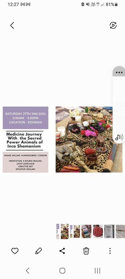 Medicine Journey With the Sacred Power Animals of Inca Shamanism ...