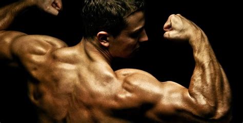 Top 5 MuscleBuilding Exercises For The Back