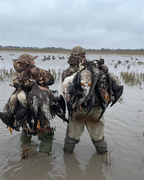 Louisiana Waterfowl Hunting in Gueydan, Louisiana - Mallard Bay