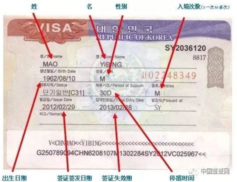 7月起韓國放寬對中國遊客免簽入境，元芳你怎麼看？ - 每日頭條