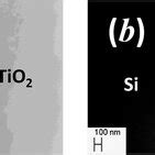 Image result for TiO2 Pfotes Sebs