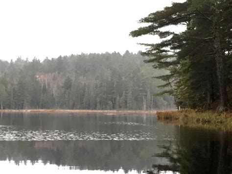 Algonquin Park Region Tourism (2024): Best of Algonquin Park Region ...