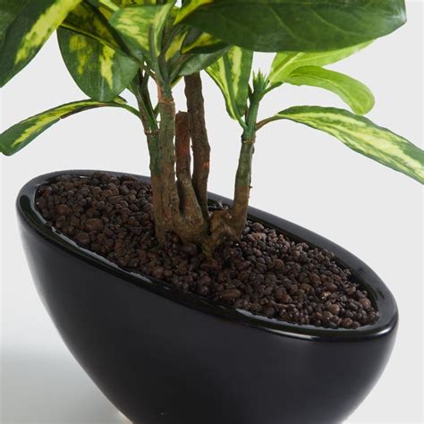 Buy Fiesta Artificial Plant in Ceramic Pot from Home Centre at just INR ...