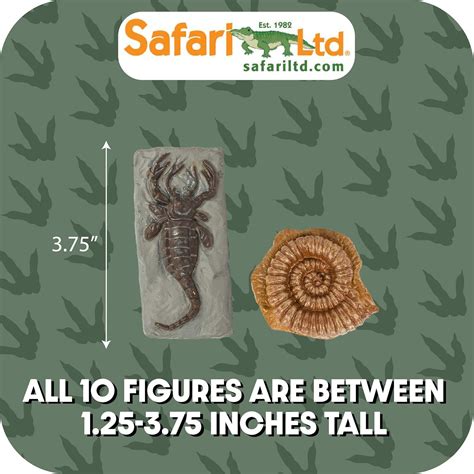 Buy Safari Ltd Ancient Fossils TOOB with 10 Toy Figurines Including ...