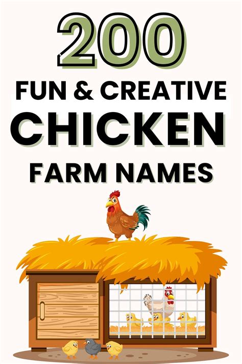 203 Fun & Creative Chicken Farm Names