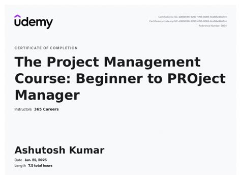 Project Manager Program 的图像结果