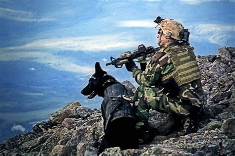 [100+] Navy Seals Wallpapers | Wallpapers.com