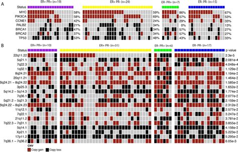 Image result for Copy Number Variation Genes