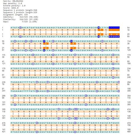 Dynamic Programming DNA Sequence Alignment 的图像结果