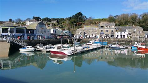 Amazing place - Reviews, Photos - Padstow Harbour - Tripadvisor