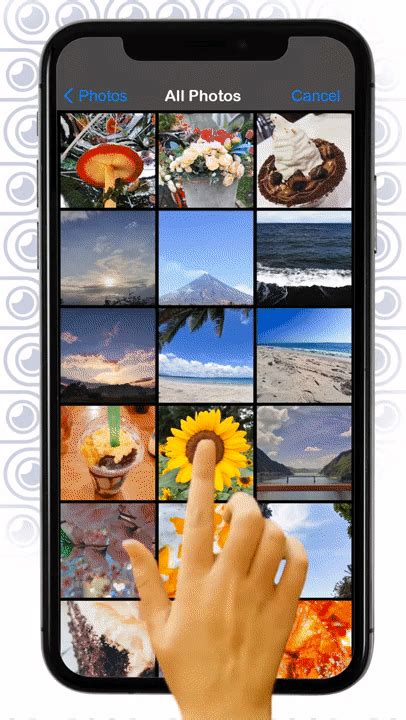 Image result for Using the Quick Selection Tool