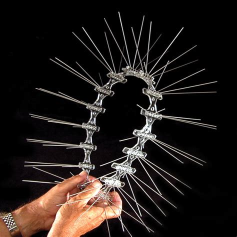 Pigeon Spikes 的图像结果