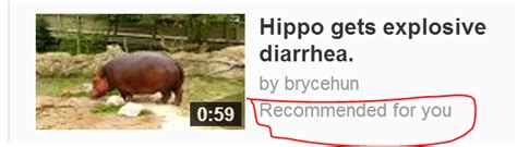 Image result for Hippo Has Exploding Diarrhea