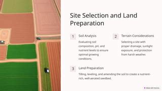 Crop Management Practices 的图像结果