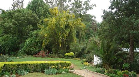 TAUNTON HOUSE (Pietermaritzburg) - B&B Reviews, Photos, Rate Comparison ...