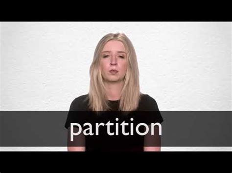 Partitioned 的图像结果