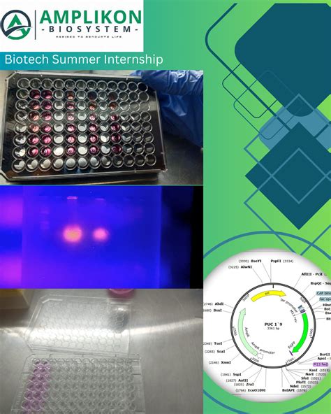 AmplikonBiosystems | Biotech Training Hyderabad | Biotech Internship in ...