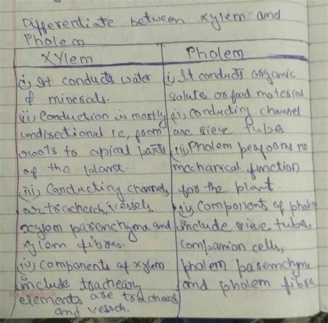 Q1.What are the components of Xylem and Phloem? - Brainly.in