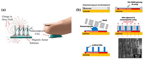 Recent Progress of Biomimetic Tactile Sensing Technology Based on ...
