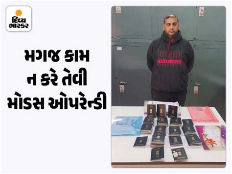 Bobby Patel, the real mastermind of the Dingucha family who froze at ...