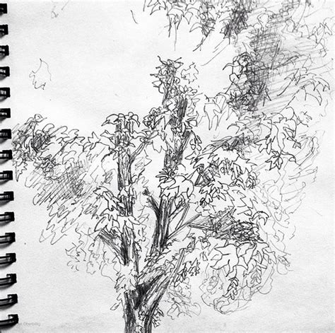 Image result for Tree Texture Drawing Simple