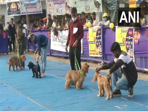 Siliguri's dog show draws huge crowd