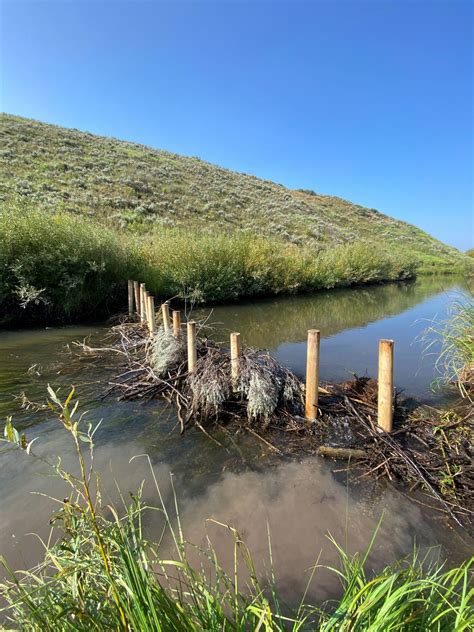 Beavers Dam Building
