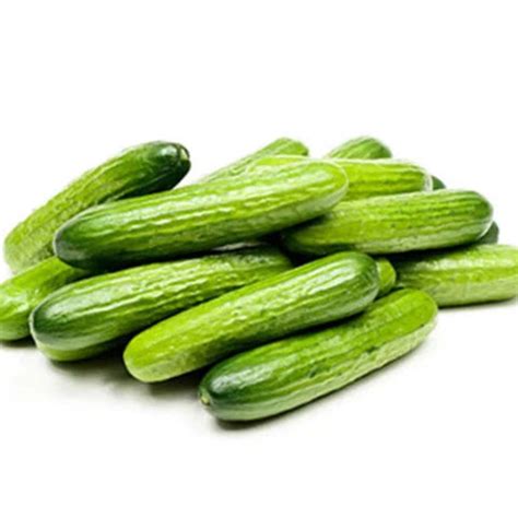 Buy Cucumber Green Small (Keera) Seeds (Desi) ( Dosakaya ) Online in ...