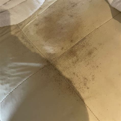 EDEN SPA AT DOWN HALL HOTEL (2026) All You Need to Know BEFORE You Go ...