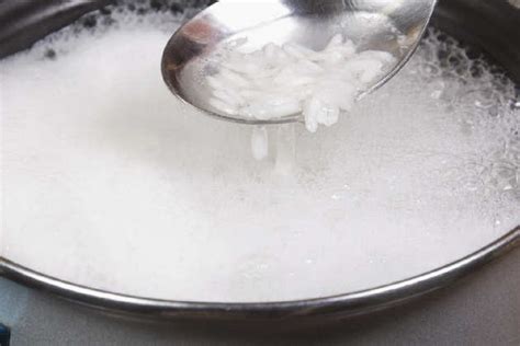 Chicken Fried Rice Recipe: How to Make Chicken Fried Rice Recipe ...