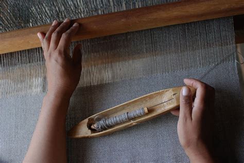 Nest Programming Tutorial 的图像结果