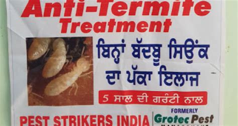Pest Strikers India - Pest Control services in Punjab (Patiala)