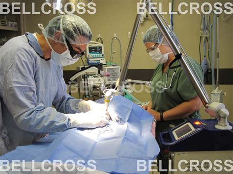 Surgeon Kit Surgical Drape Supplier from Mumbai