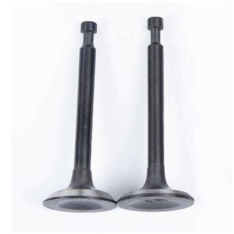 Buy Belom Guide Plate Valve Rocker Arm Kit Lawn Mower Replacement Push ...